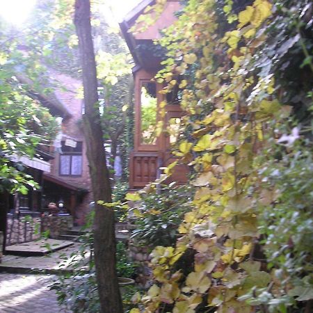 Gite Le Riesling Bergheim Kültér fotó