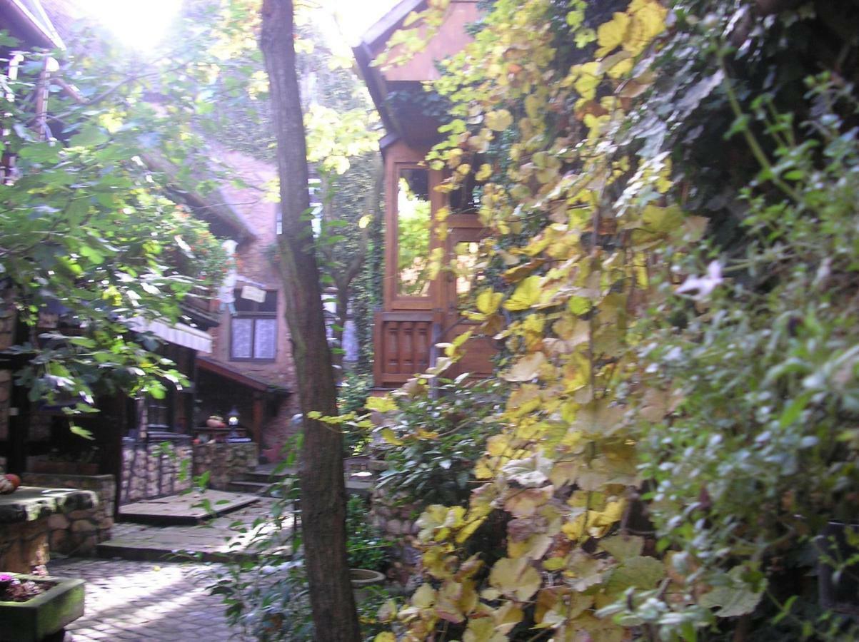 Gite Le Riesling Bergheim Kültér fotó